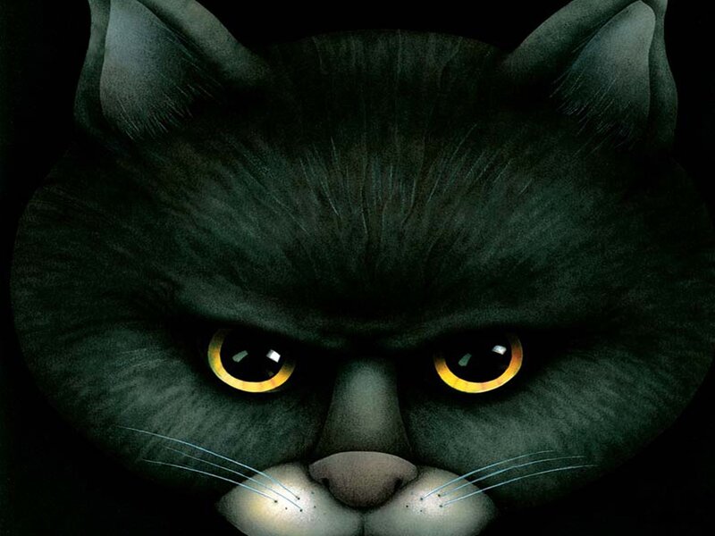 angry black cat face