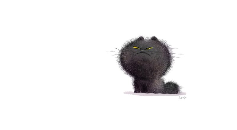 Angry Black Cat — Grumpy