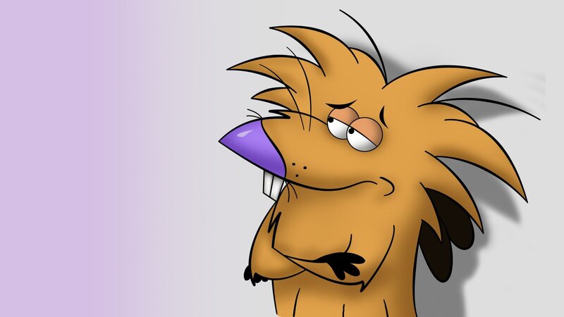 angry cartoon beaver