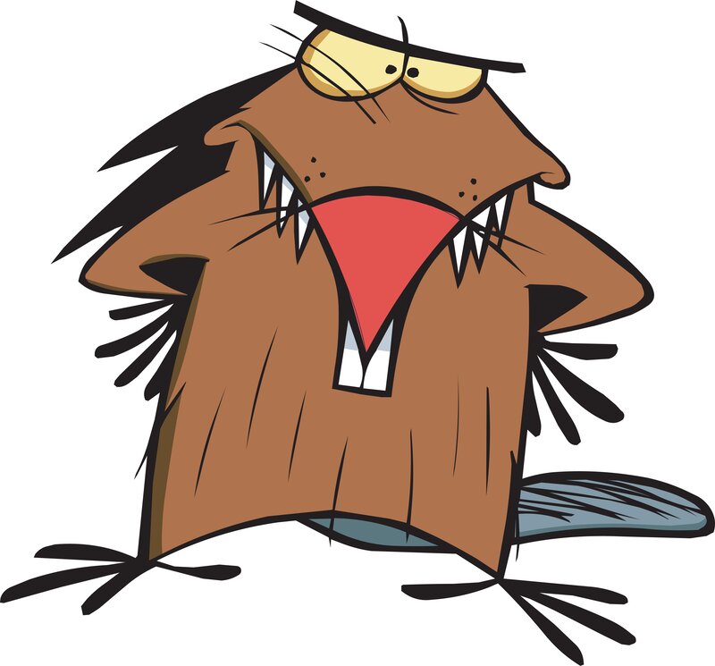 angry cartoon beaver