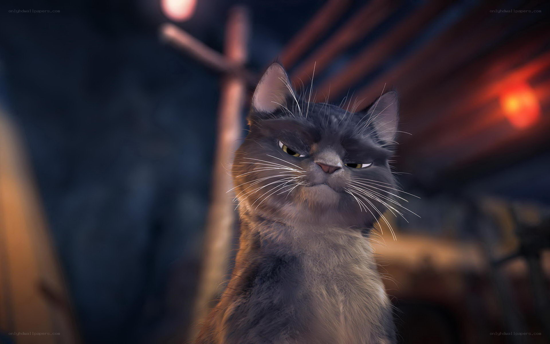 angry cat character