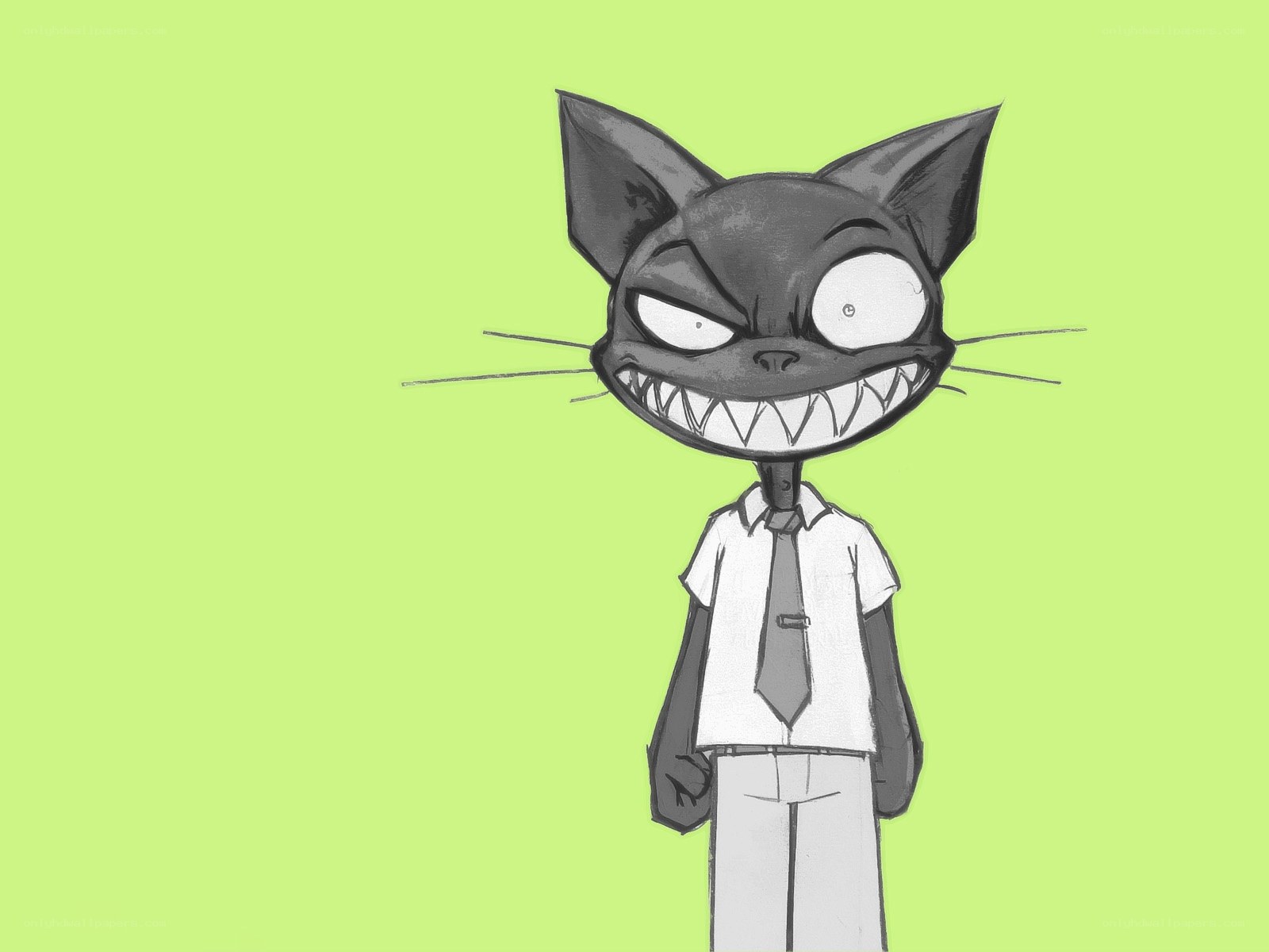 angry cat character
