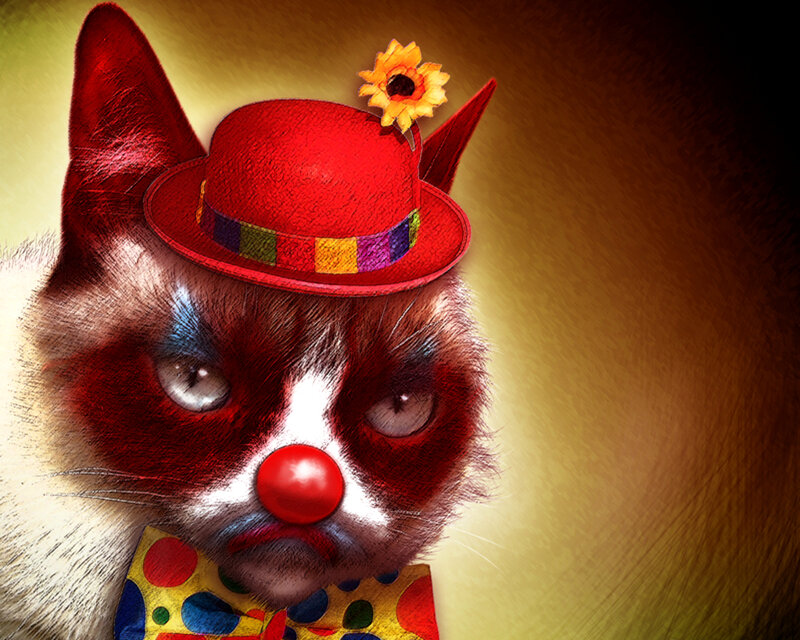 Angry Cat Clown