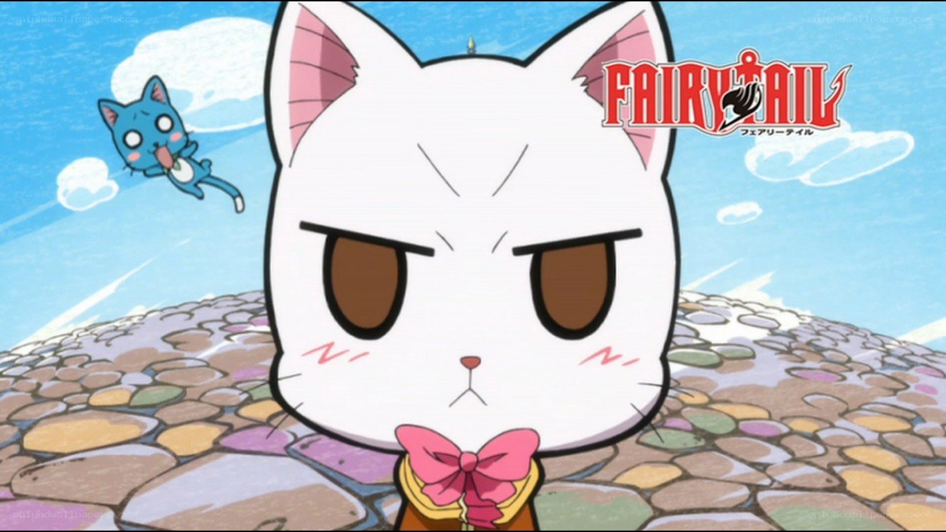 Angry cat from Fairy Tail