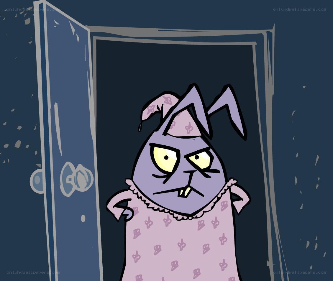 angry cat in pajamas