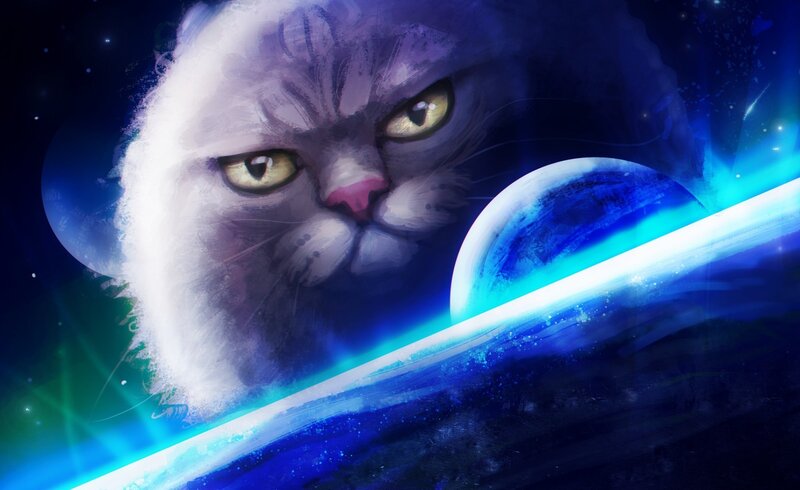 Angry Cat in Space