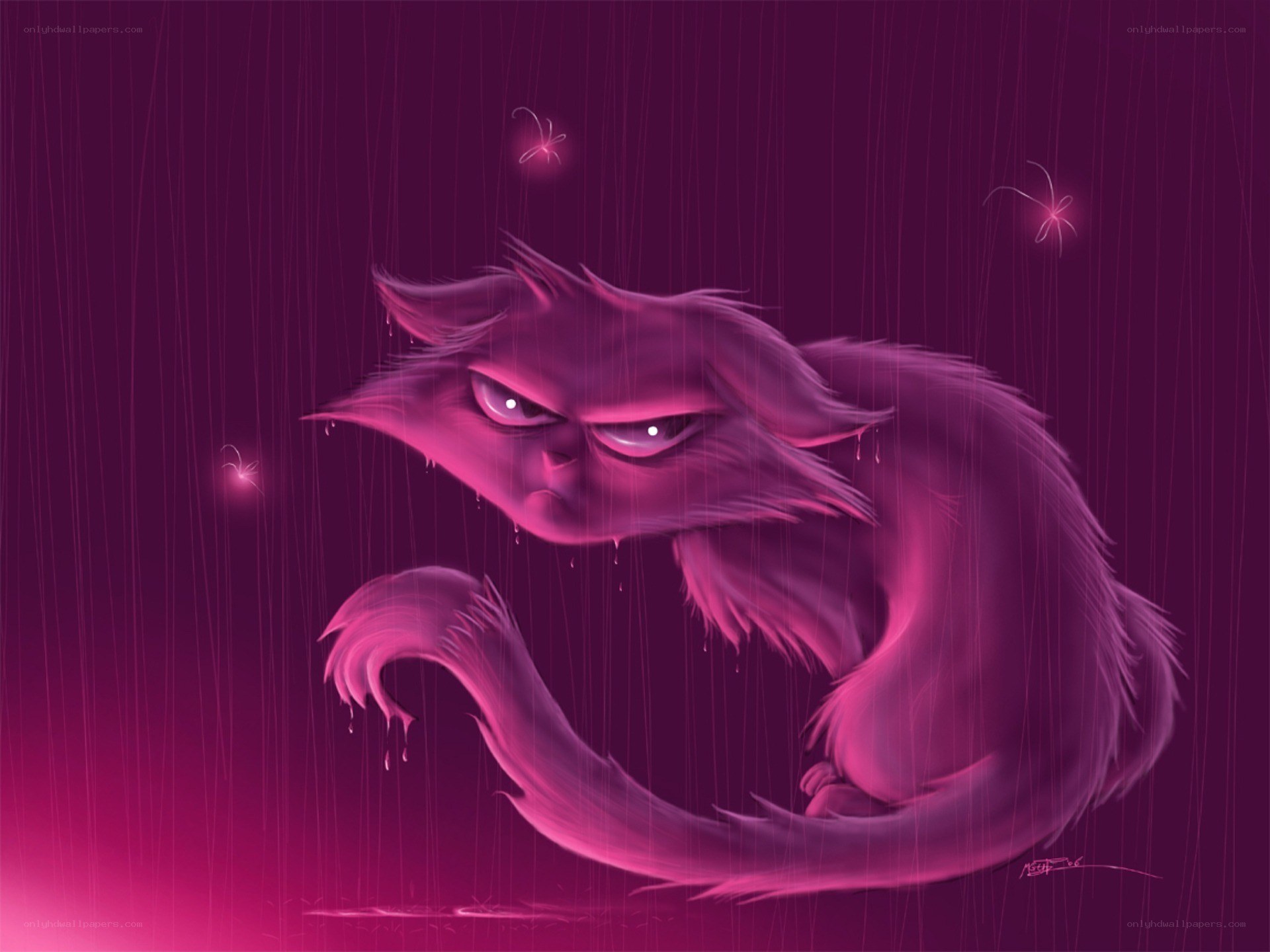 angry cat in the rain