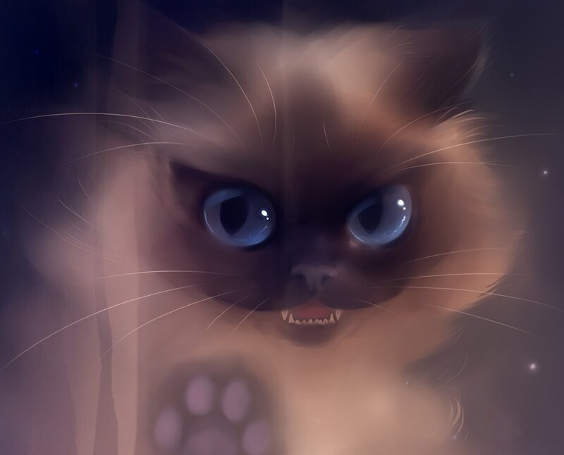 Angry Cat with Blue Eyes — Brown, Dramatic, Night