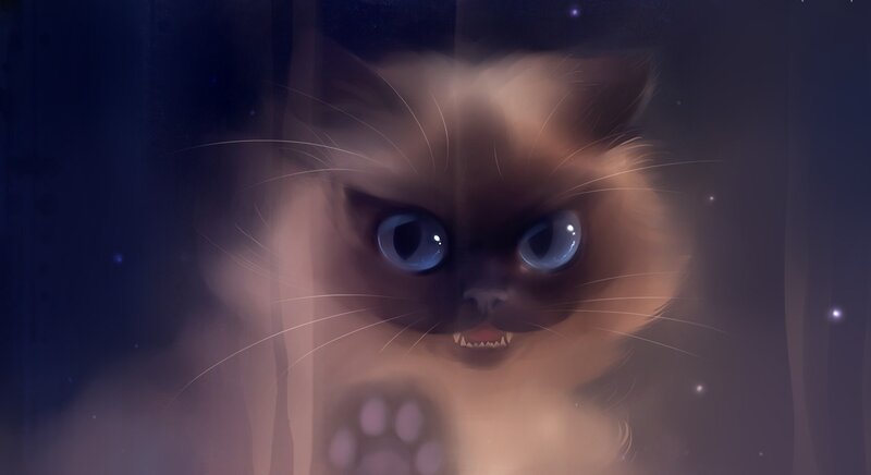 Angry Cat with Blue Eyes — Brown