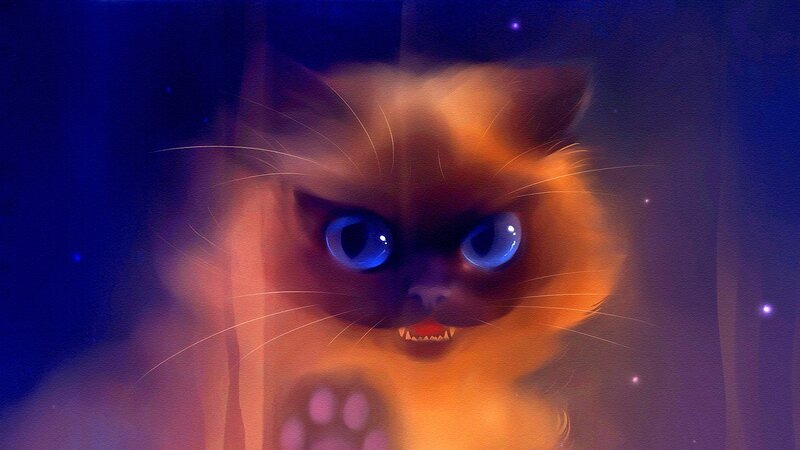 Angry Cat with Blue Eyes — Dramatic, Night