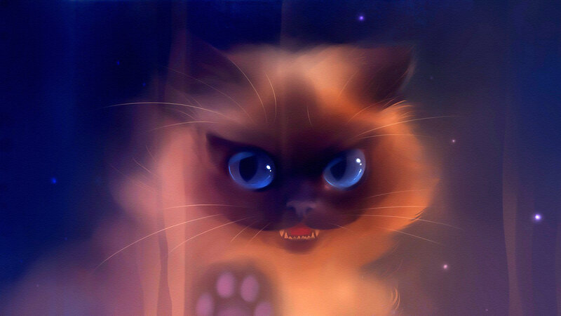 Angry Cat with Blue Eyes — Dramatic