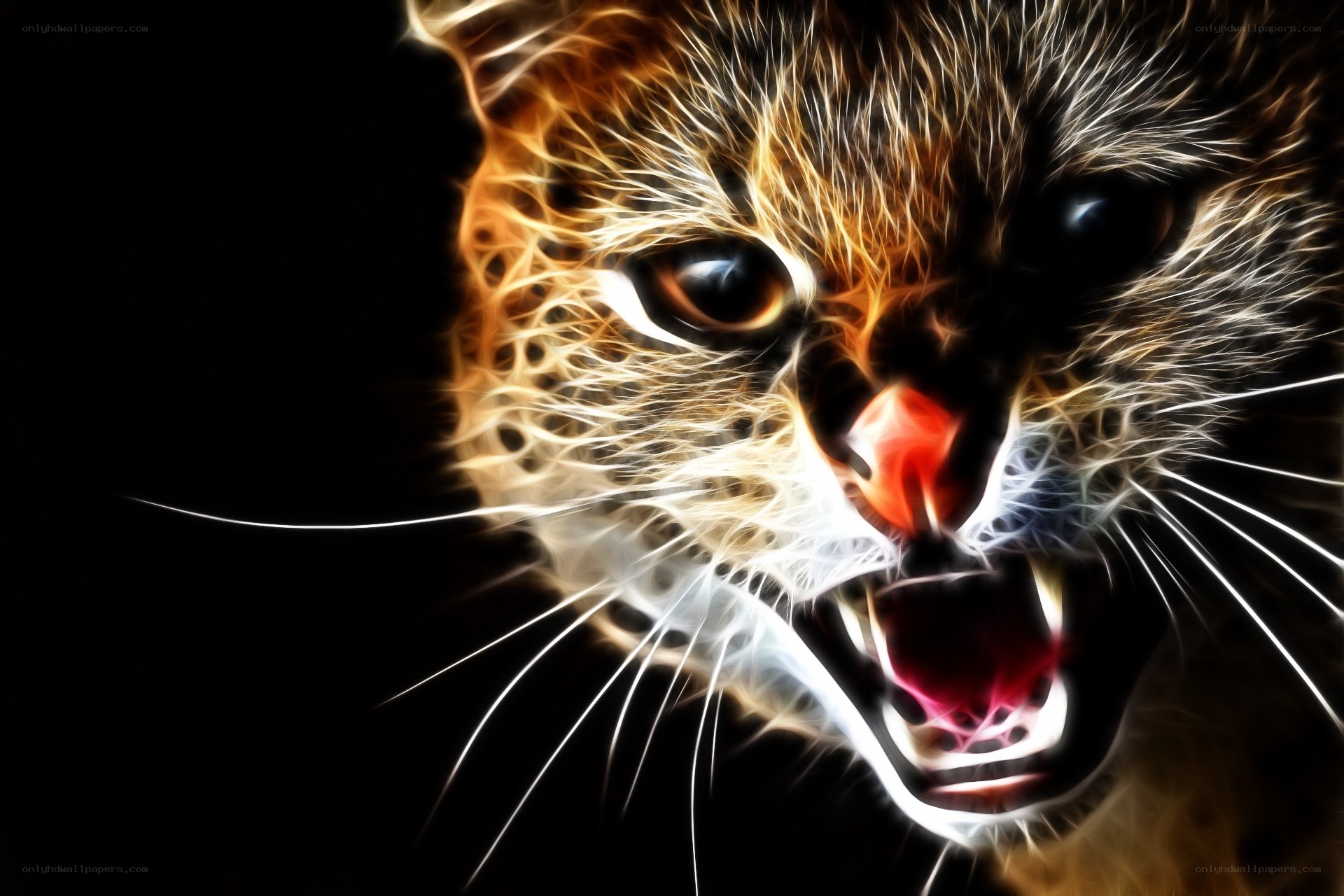 angry cat with glowing fur