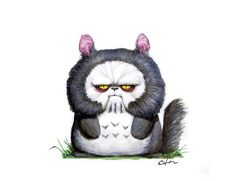 angry cat with pink ears