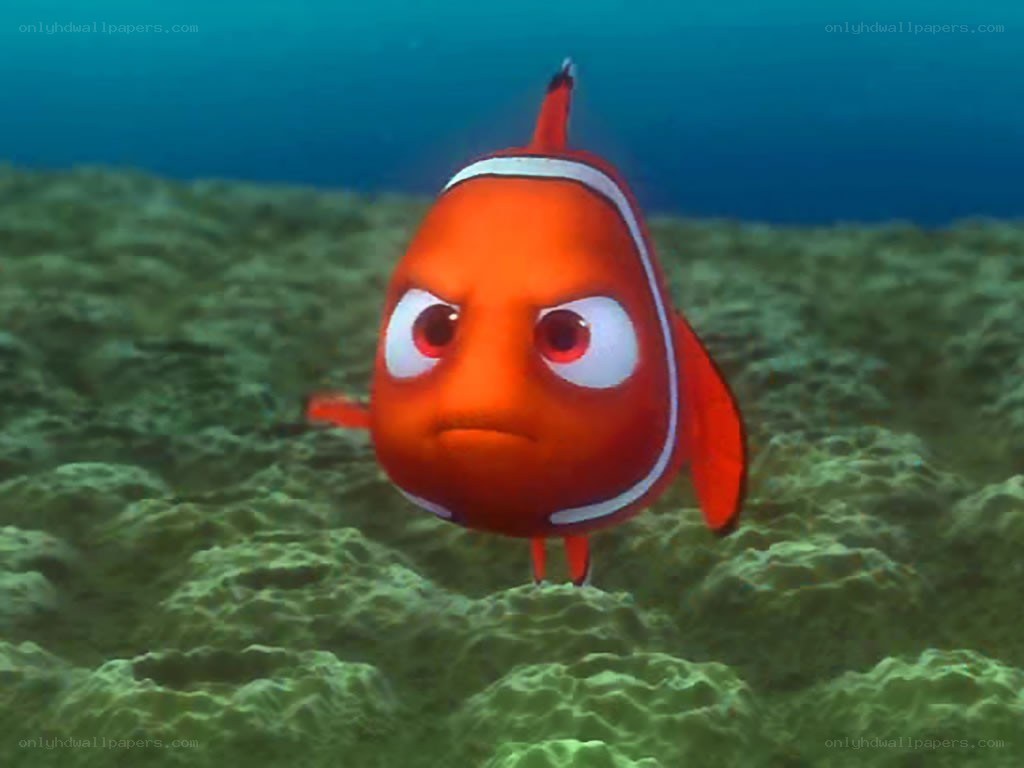 angry clownfish in ocean