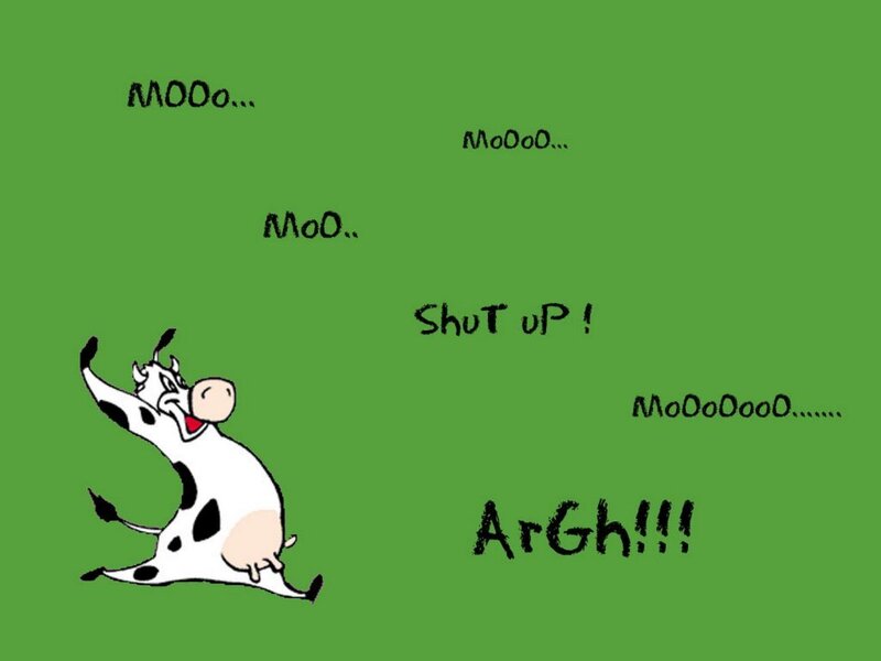 angry cow cartoon