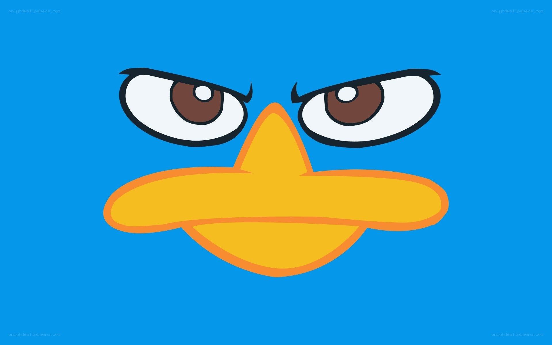 angry duck face
