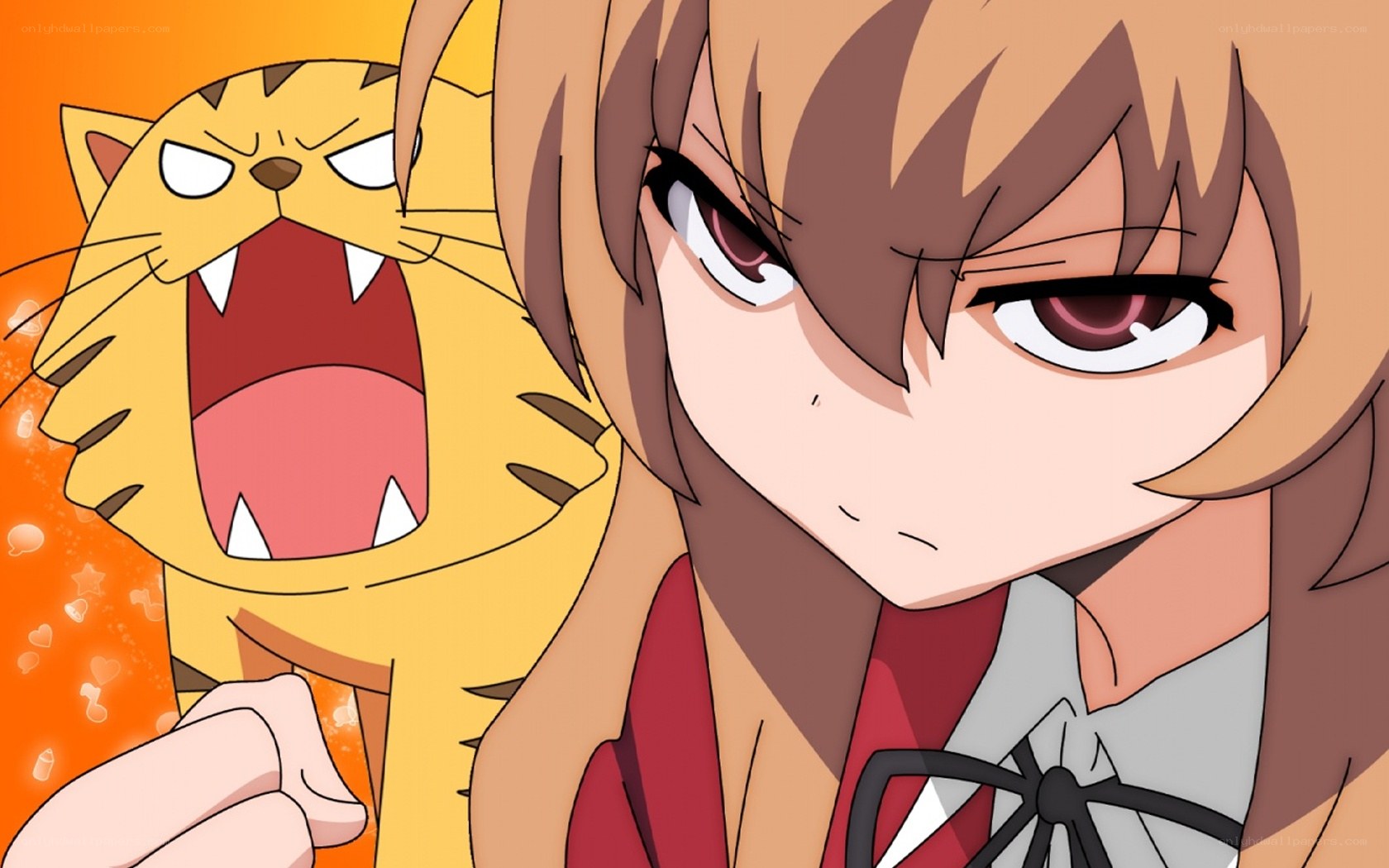 angry girl and cat