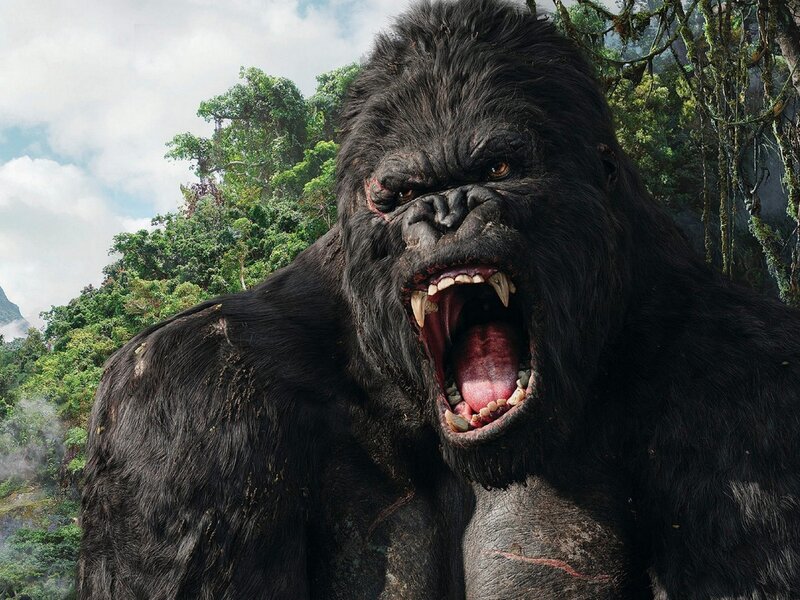 Angry Gorilla in Jungle