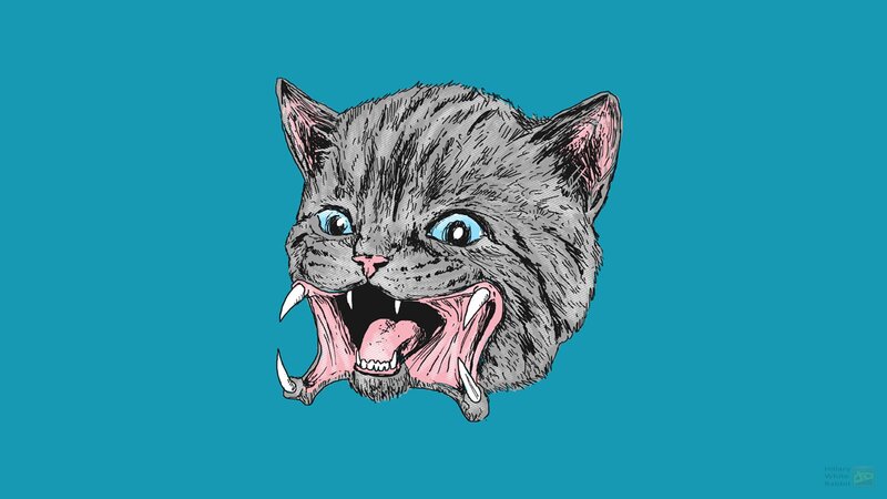 Angry Gray Cat Head