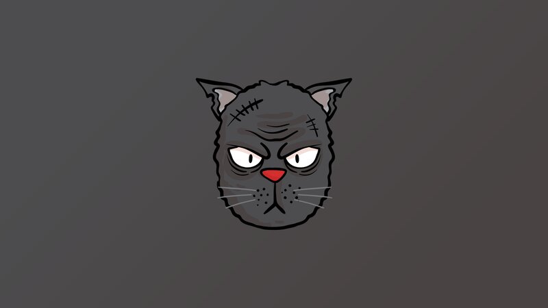 Angry Gray Cat — Intense