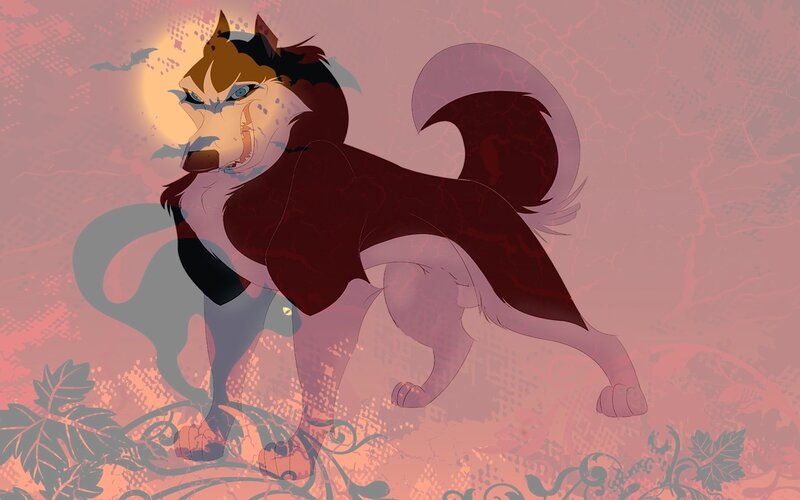 Angry Husky Wolf
