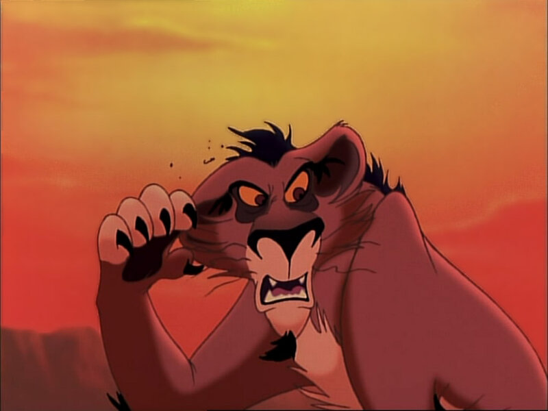 angry lion in sunset
