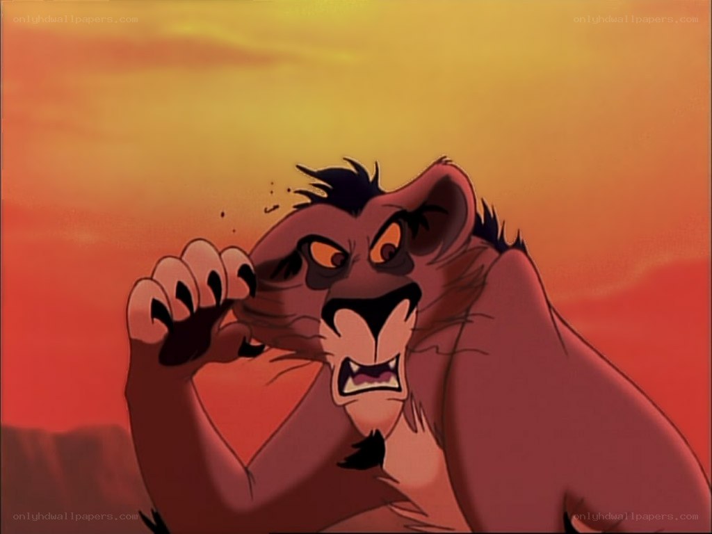 angry lion in sunset