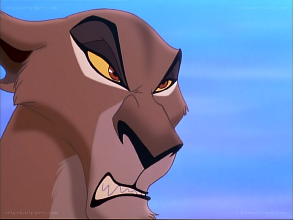 angry lioness close-up