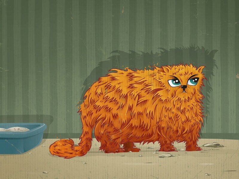 angry orange cat illustration