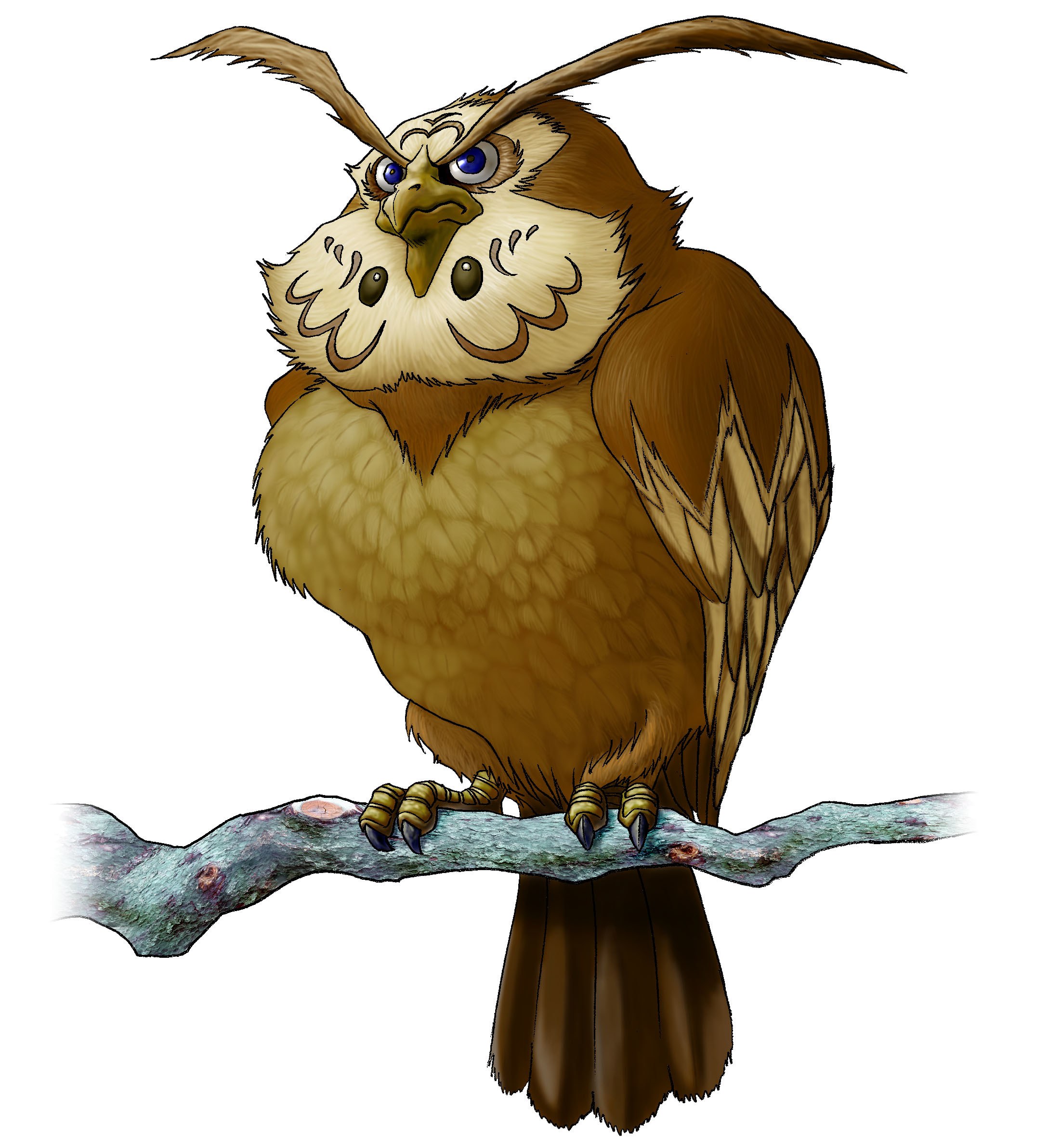 angry owl on a branch