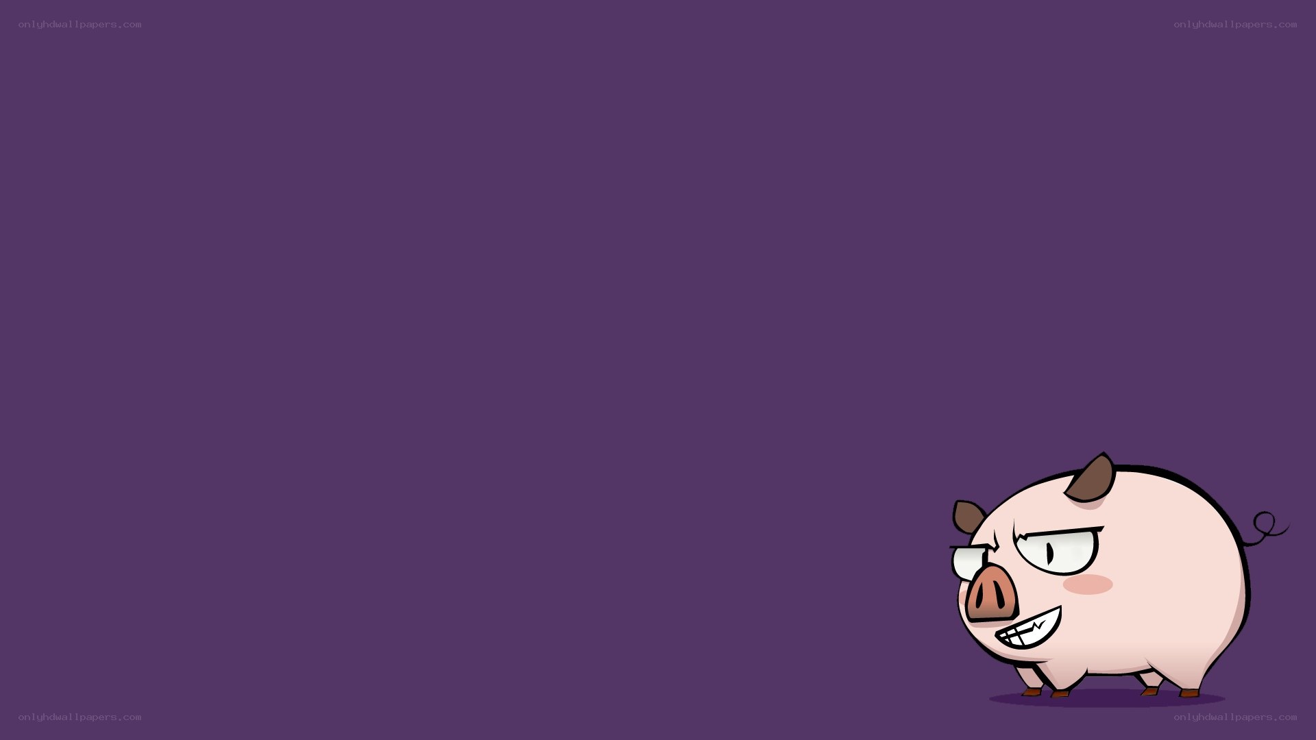angry pig cartoon