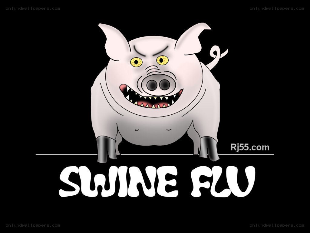 angry pig cartoon