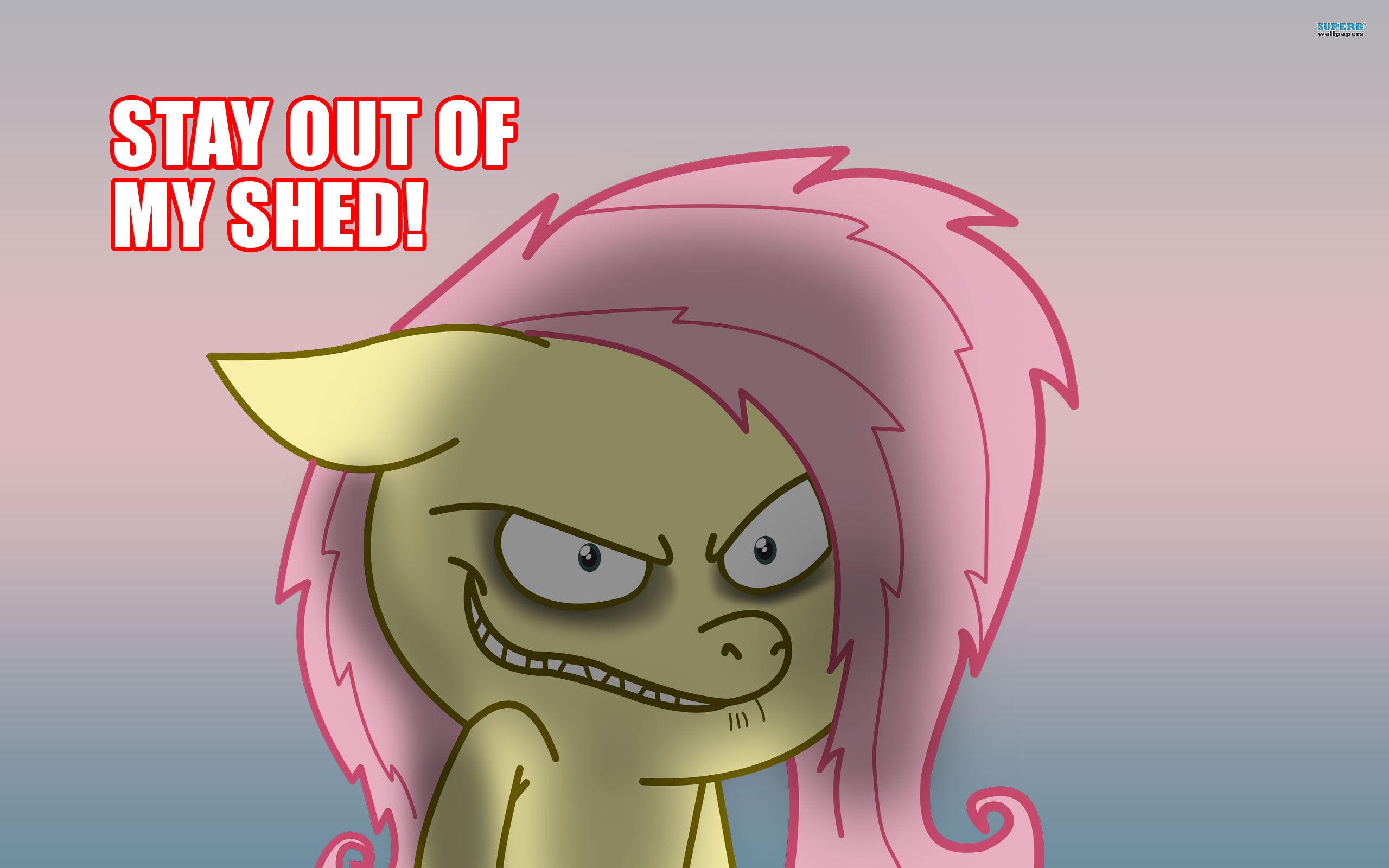 angry pony character