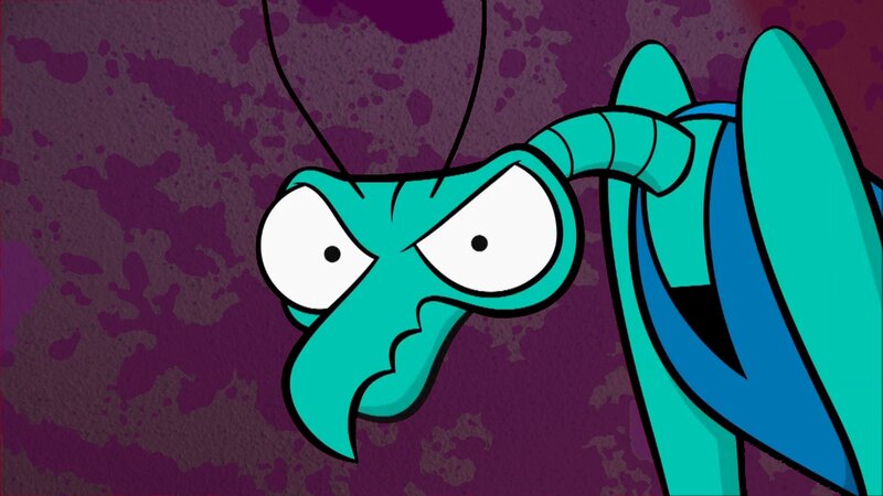 Angry Praying Mantis