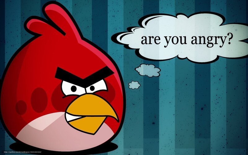 angry red bird