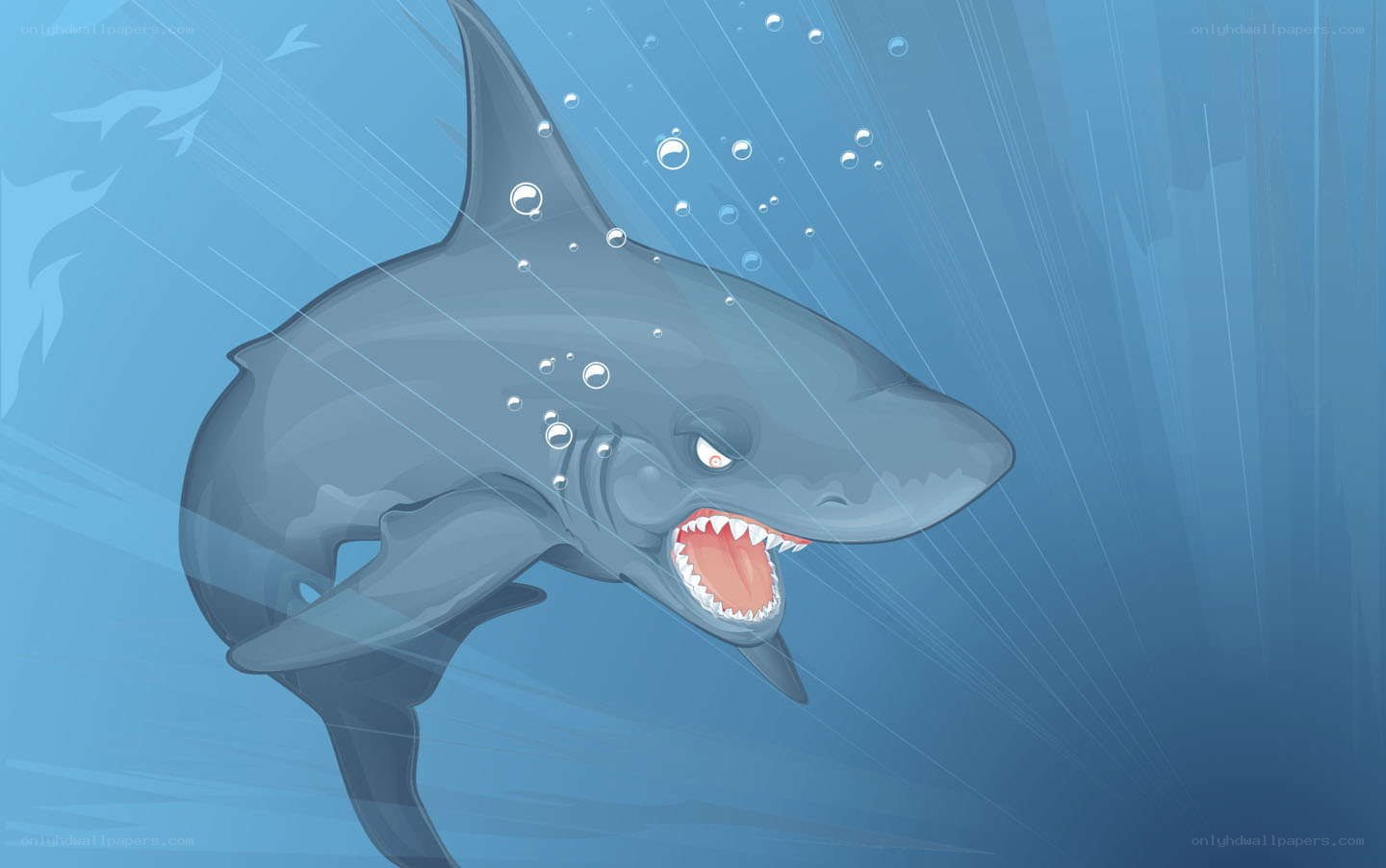 angry shark underwater