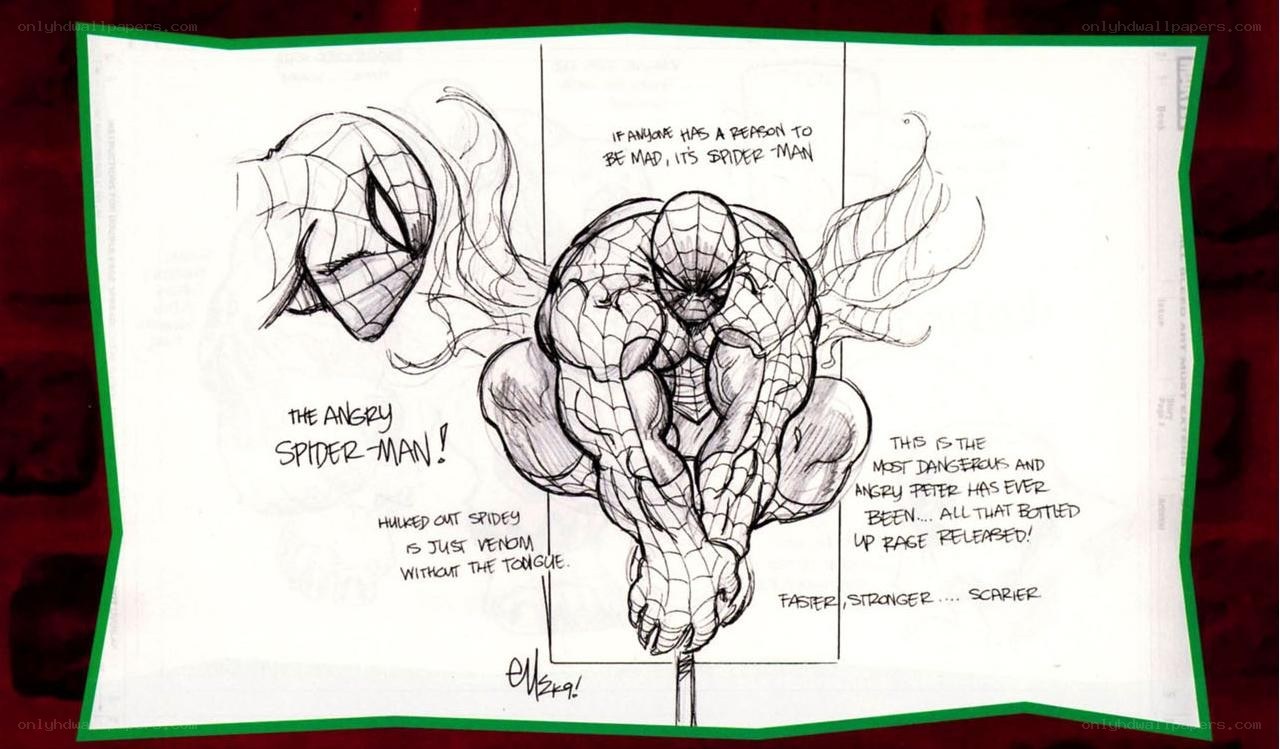 Angry Spider-Man sketch