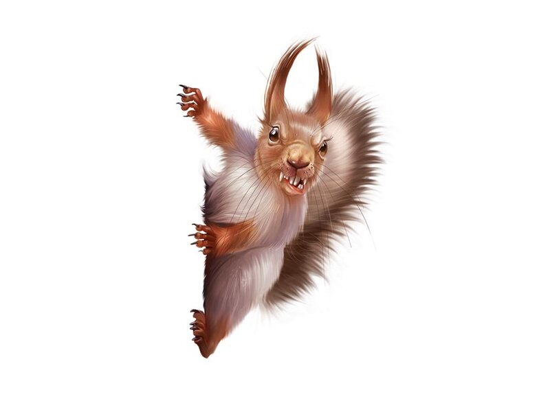 Angry Squirrel