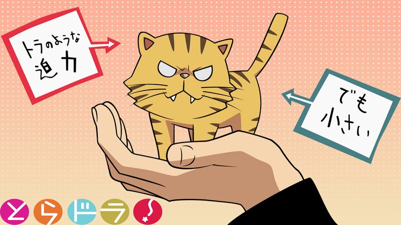 Angry Tabby Cat — Yellow