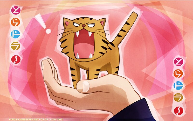 Angry Tiger Cat