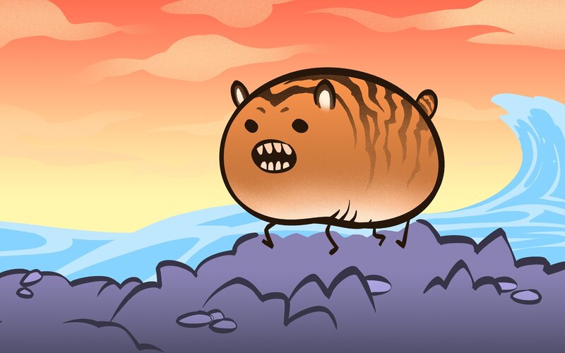 angry tiger on a cliff