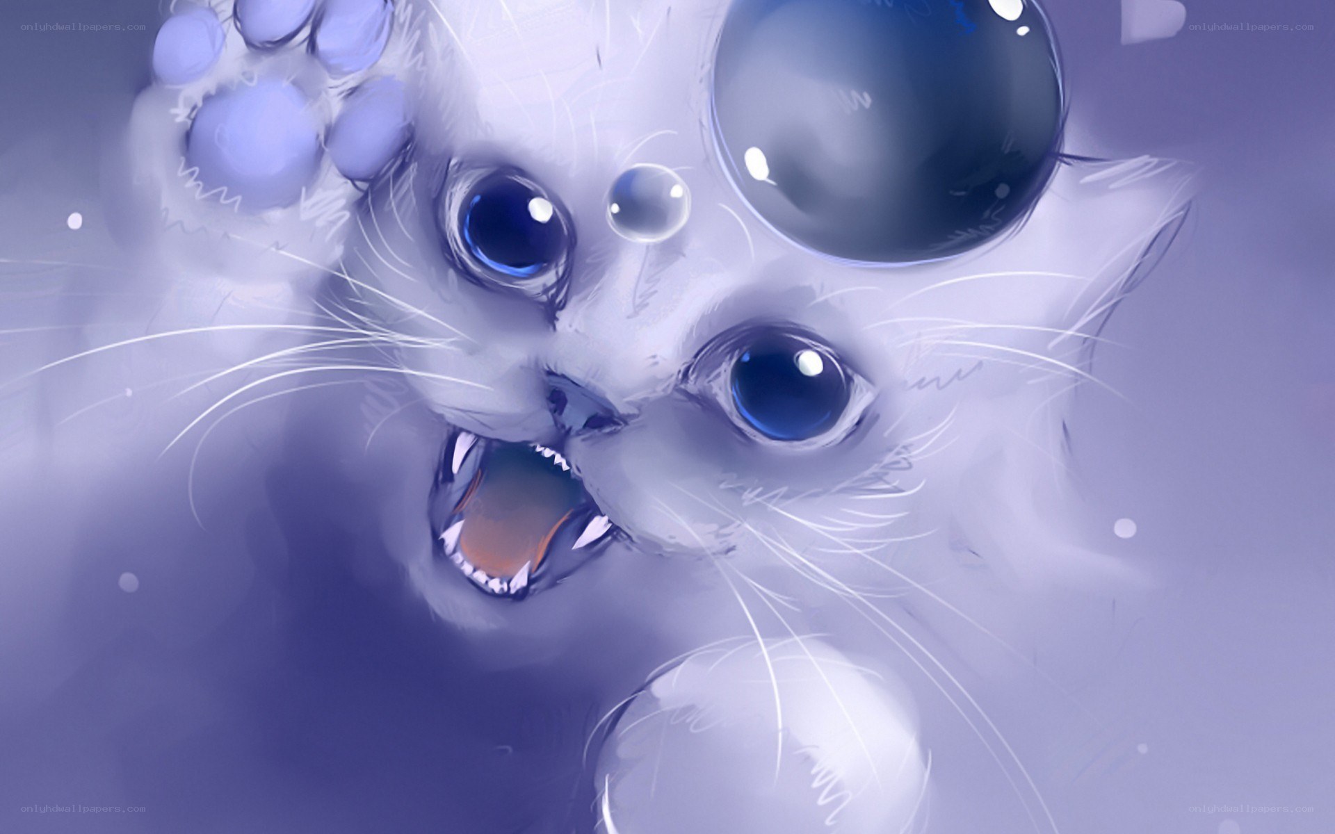 angry white cat illustration