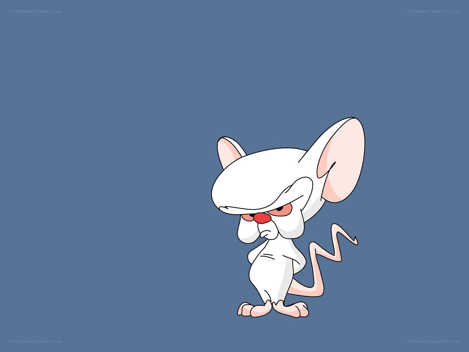 angry white mouse character