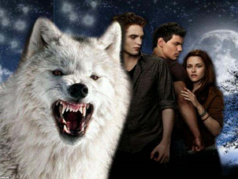 Angry White Wolf — Dramatic