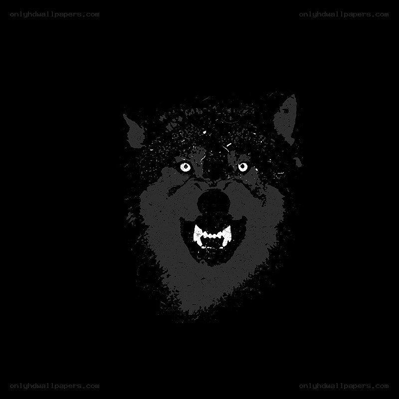 angry wolf face
