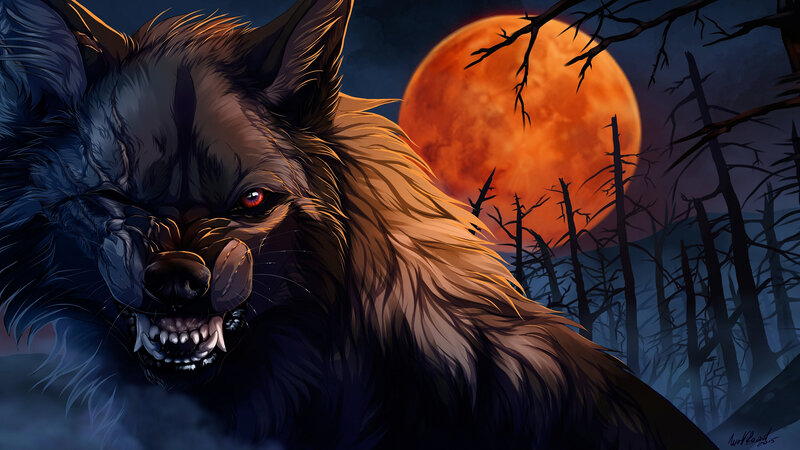 Angry Wolf in Forest — Orange