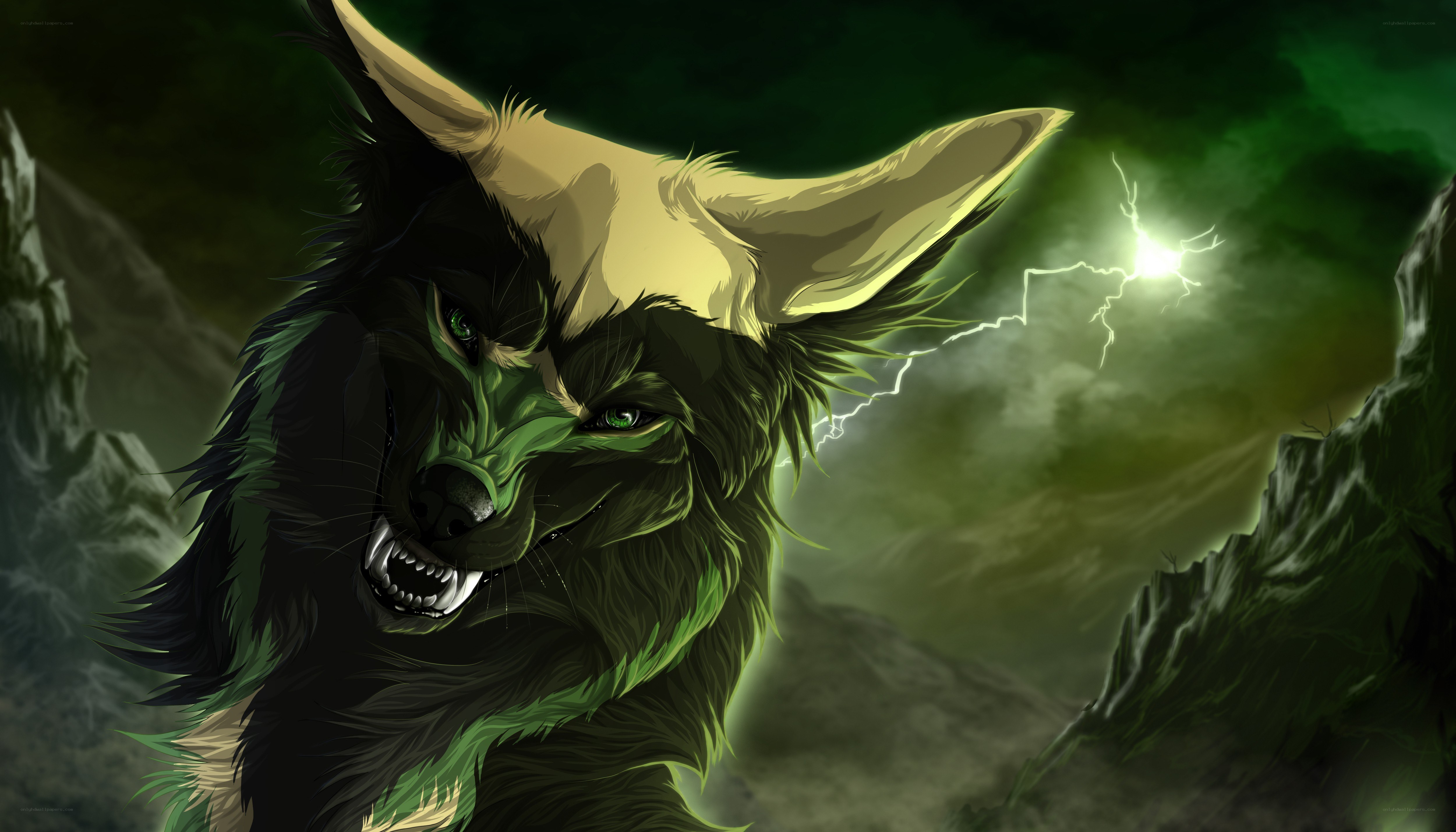angry wolf in storm