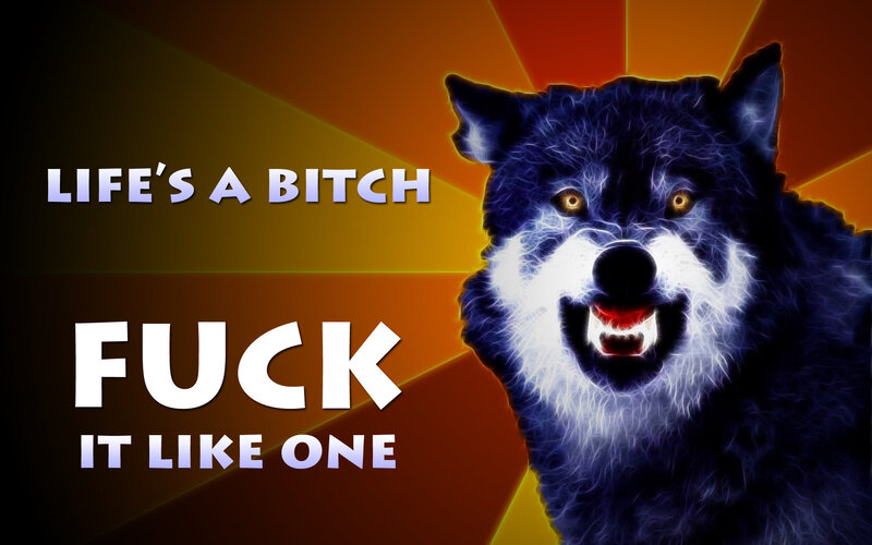 angry wolf meme