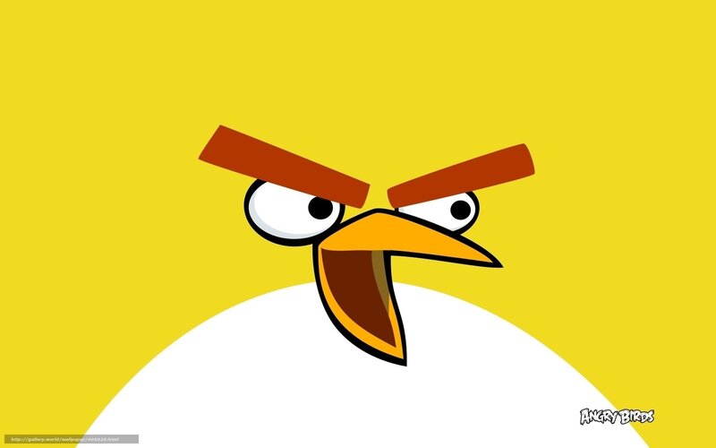 Angry Yellow Bird — Digital Art