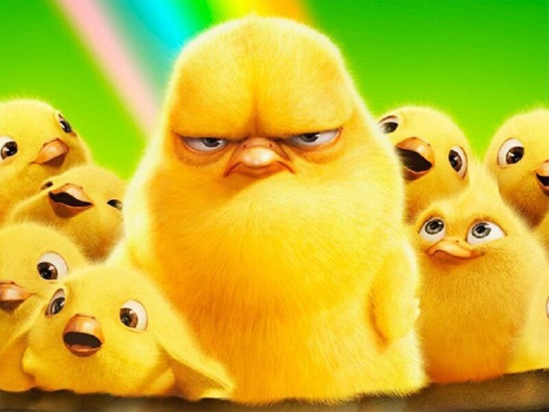 Angry Yellow Chick — Playful, 3d Render